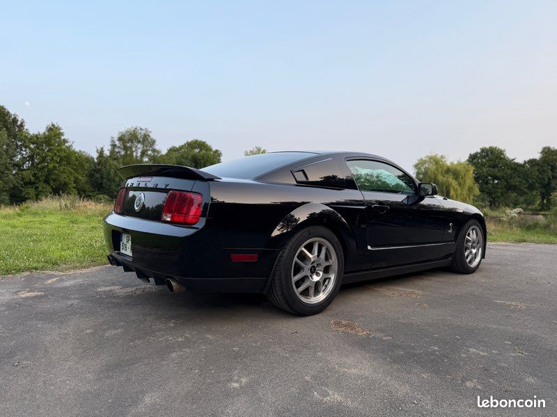 Ford Mustang Shelby GT500 - Photo 20