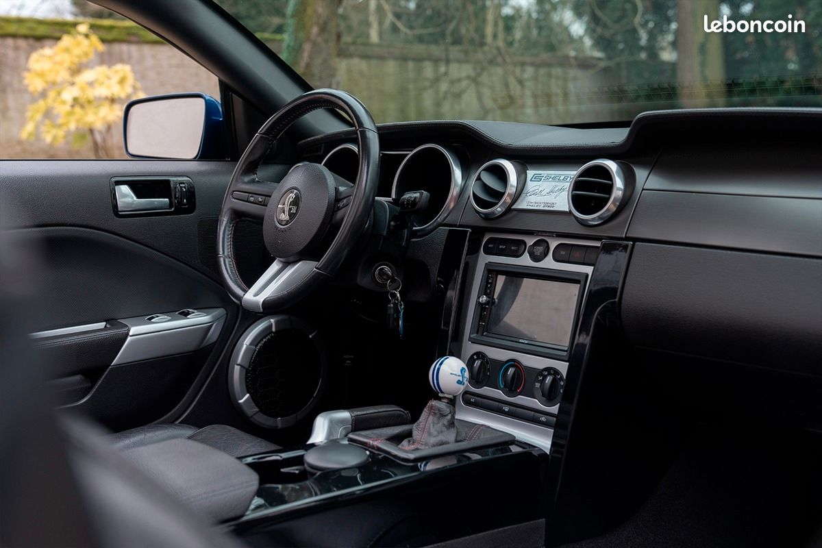 Ford Mustang GT 500 Shelby - Photo 10