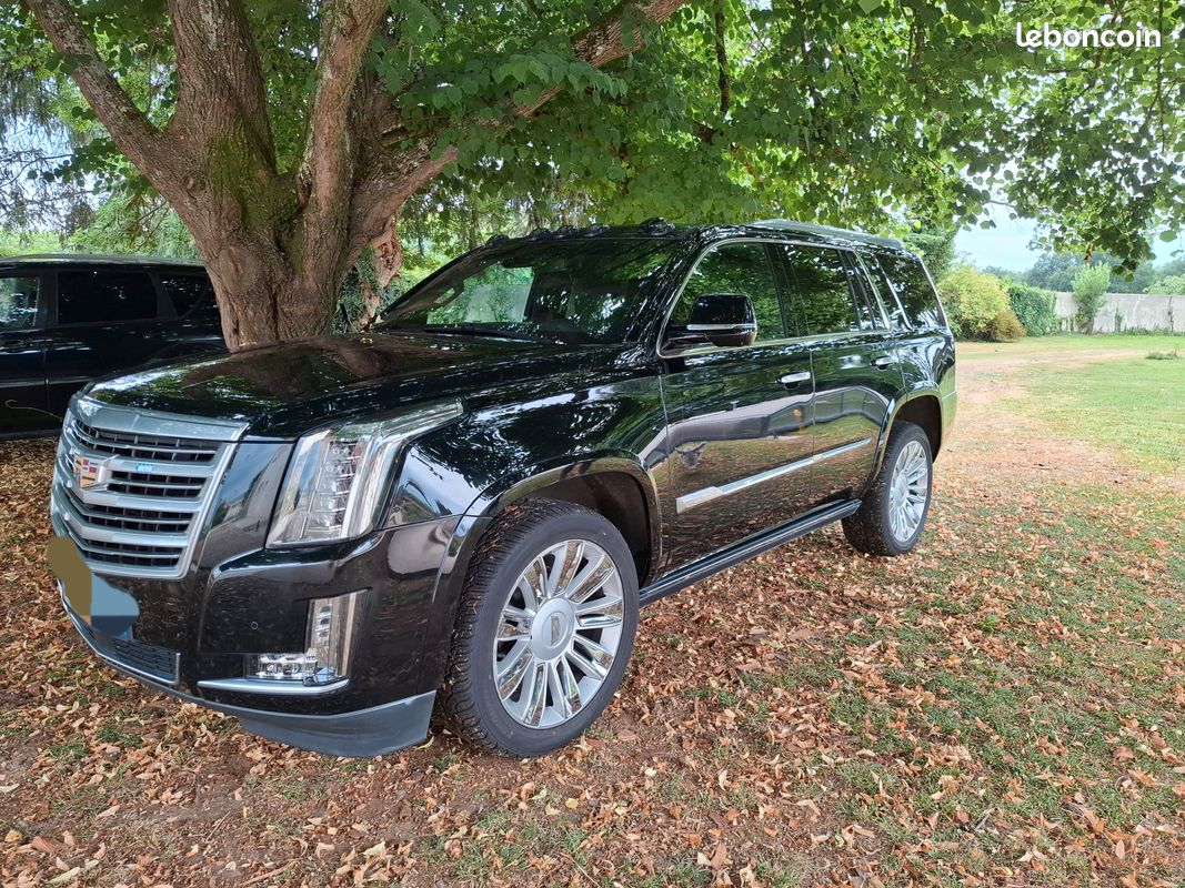 Cadillac Escalade Platinum - Photo 2